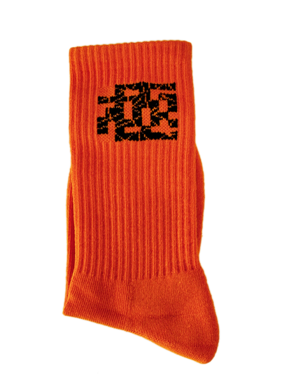 Gokuraku Socks 2024four-colour